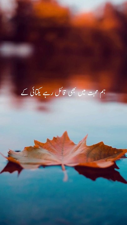 ہم محبت میں بھی قائل رہے یکتائی کے ہم نے رکھا ہی نہیں دل میں دوبارہ کوئیUrdu poetry | weird Stories | Urdu hindi | #urdusadpoetry #hindipoetry #best poetry #shairy #viralpoetry #poetrystatus