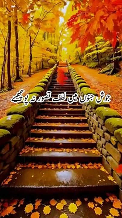 phirty hain sath sath unhain hum liay hoy | جوش جنوں میں لطف تصور نہ پوچھیے |Weird Storiees | #weirdstories #poery #urdu #hindi 3viral #sadpoetry #poetrystatus,