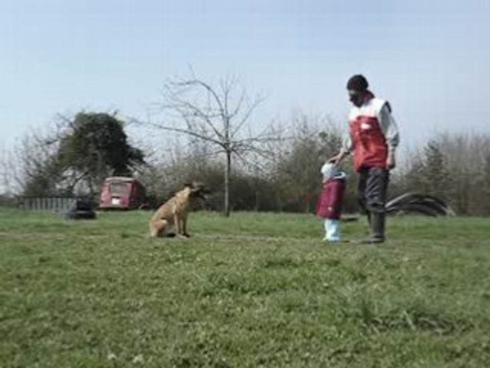 bimbo des deux sabres refus d'appats