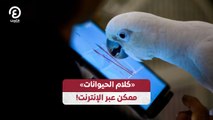 «كلام الحيوانات» ممكن عبر الإنترنت!