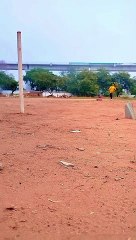 Wait for end _|| #shorts #ytshorts #cricket #trending