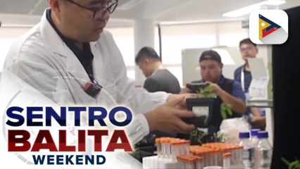 Natuklasang halaman ng China, malaking tulong para maibsan ang epekto ng El Niño