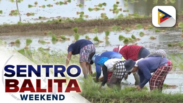 Pagbuo ng master list ng mga lupang pag-aari ng gobyerno, ipinag-utos ni PBBM