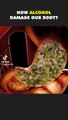 How Alcohol Damage Our Body #shorts #shortvideo #video #virals #videoviral #innovationhub