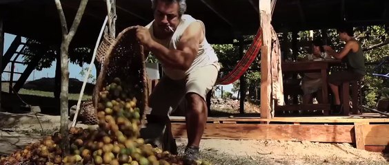 A Floresta de Jonathas Bande-annonce (DE)