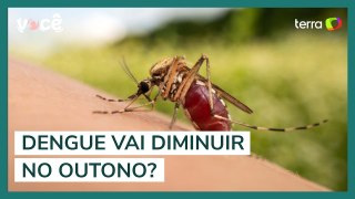 Dengue vai diminuir no outono?