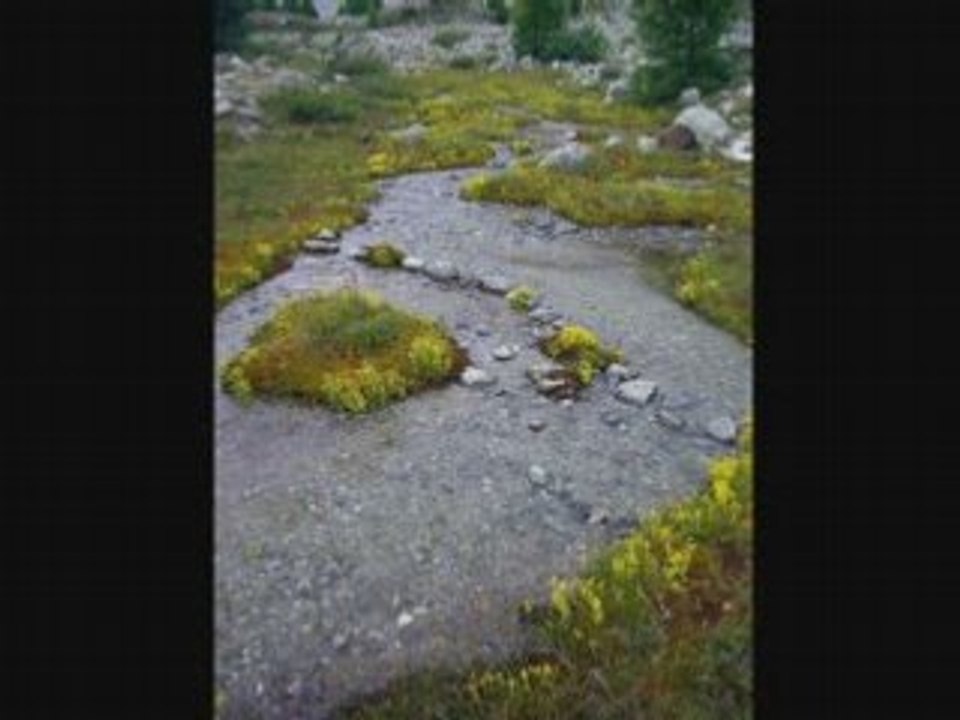 Rakesh Chaurasia Talvin Singh- One World