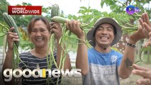 Kapitbahay, namimigay ng libreng gulay! | Good News