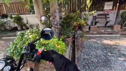 Eis Essen mit Nico Weltbestes Eis in Thailand