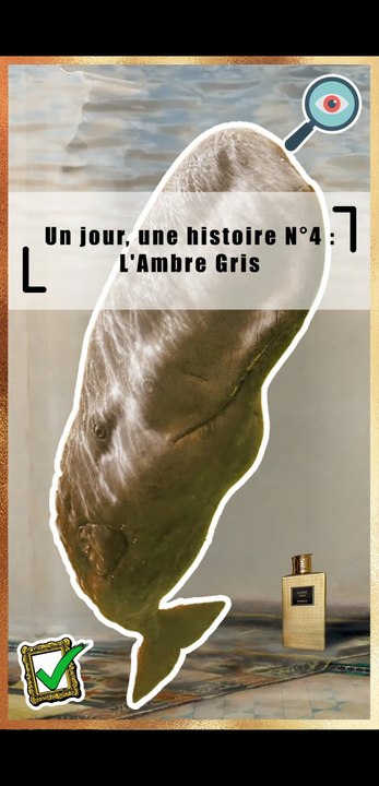 Un jour, une histoire N° 4 : L' Ambre gris | Fumée d'ambre gris | John Singer Sargent