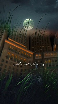 SubhanAllah Follow me ❤️#tiktok #shayari #urdupoetry #islamicvideo #foryou #islamicpedia #urduquotes