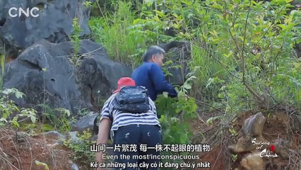 Ngày Lập hạ mùa hè Trung Quốc