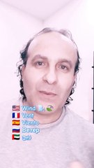 Wind  Vent Viento Ветер ريح