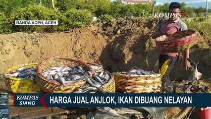 Harga Jual Anjlok, Nelayan Terpaksa Buang Ikan Tangkapan