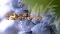 Vive la Tech: Climate change is changing French wine