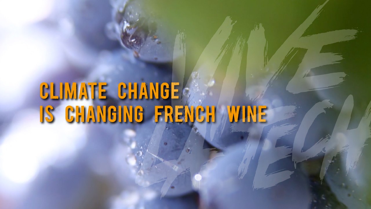 Vive la Tech: Climate change is changing French wine