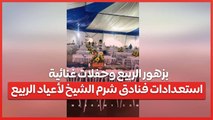 بزهور الربيع وحفلات غنائية .. استعدادات فنادق شرم الشيخ لأعياد الربيع