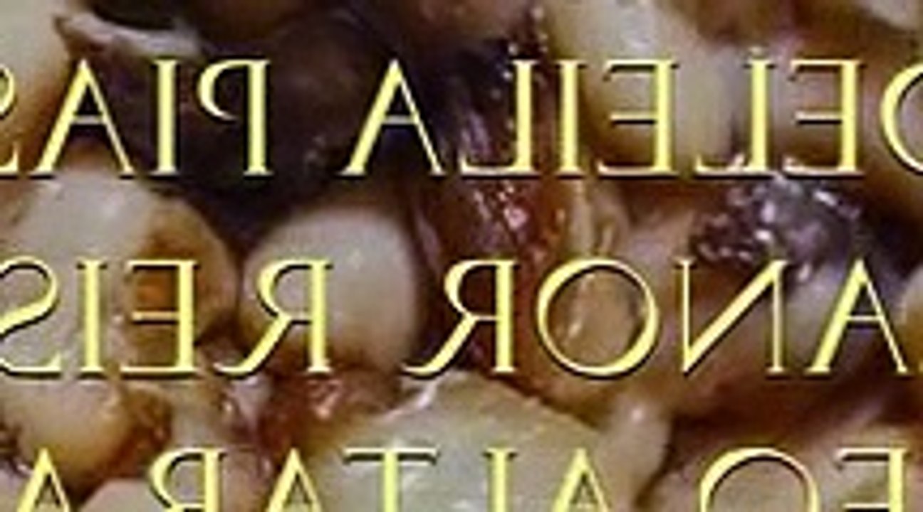 Die Zweiflers Folge 2 Die Zweiflers