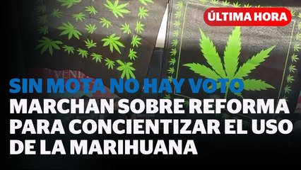Marcha por la Libertad: Sin Mota No Hay Voto ️ del Día Mundial de la Marihuana