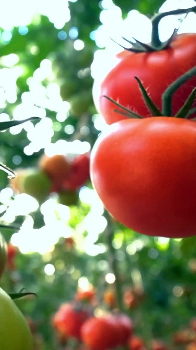 Comment gagner en pouvoir d'achat facilement ?