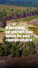 Tes cheveux sauvent les animaux !!