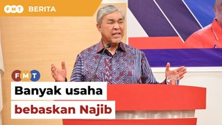 Pelbagai jalan diguna untuk bebaskan Najib, kata Zahid