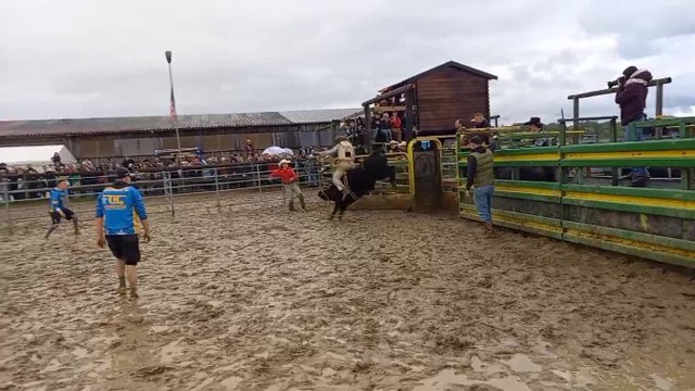 Rodéo à Gendron: Jean-Ba , un namurois champion de rodéo, dans ses oeuvres