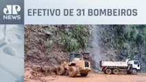 Voluntários de Nova Petrópolis realizam 41 resgates