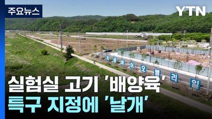 실험실 고기 '배양육'...특구 지정에 '날개' / YTN