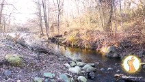 Relax and Meditate at this Historic Richmond Town Creek