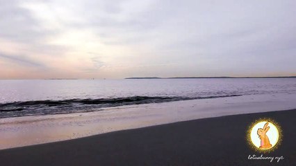 Feeling stressed? Relax and meditate with us in NYC!