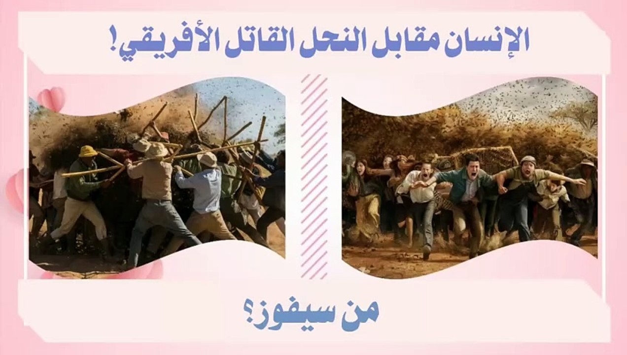من سيفوز_ البشر أم النحل الأفريقي القاتل؟