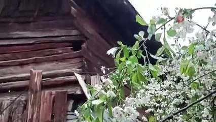 Vatandaş da şaşkın... Mayıs ayında kar sürprizi