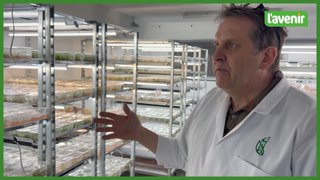 Nouveau laboratoire chez Fleurolex Vitroplant Production, à Ferrières