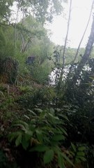 Toujours de l'autre côté du lac de Lourdes