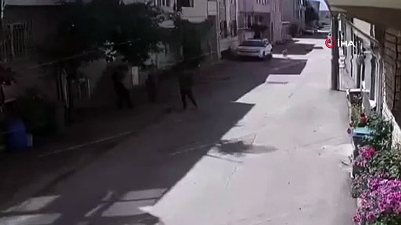 Sokak köpekleri 3 çocuğa kabusu yaşattı