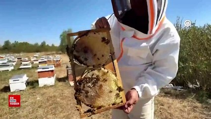 Bakan Yumaklı: Bal gibi üretim ile dünyada ikinciyiz