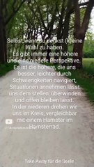 (K)eine Wahl ist immer die Wahl einer höheren & niederen Perspektive