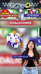 ¿Qué son las coaliciones y por qué necesitas saber sobre ellas? Te lo explicamos