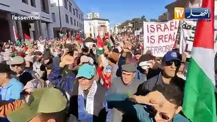 Download Video: فلسطين :  دور المنظمات غير الحكومية في نصرة القضية الفلسطينية