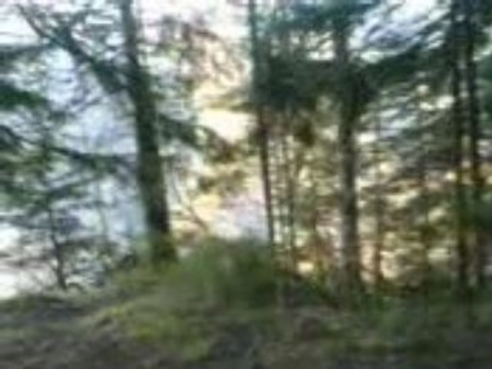 MOV00015