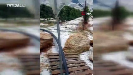 Mersin'de dolu etkili oldu: Tarım arazileri zarar gördü