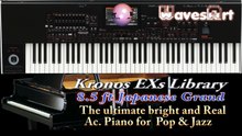 Korg Pa4X Next Premium 2Gb What's New