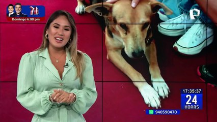 Segundo caso de "una muerte digna": María Benito rechazó tratamiento que recibía por padecer ELA