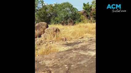 Huge rock carving unearthed in the NT | Katherine Times | May 6, 2024
