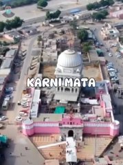 Karni Mata: Tempat Unik Dengan Ribuan Tikus Suci