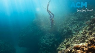 Great Barrier Reef in crisis: scientists despair as corals perish