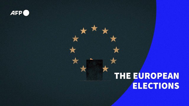 European elections: the voting system