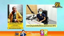 อาหารปรุงเองในโรคไตของสุนัขและแมว EP.2 : FM91 คลินิกสัตว์เลี้ยง : 5 พฤษภาคม 2567