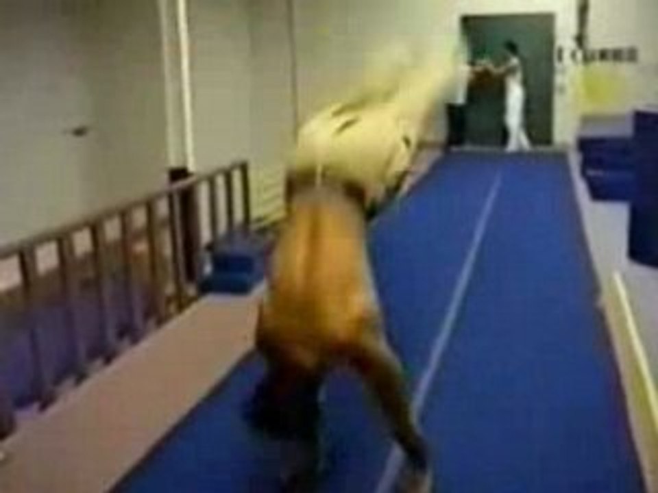 acrobaty